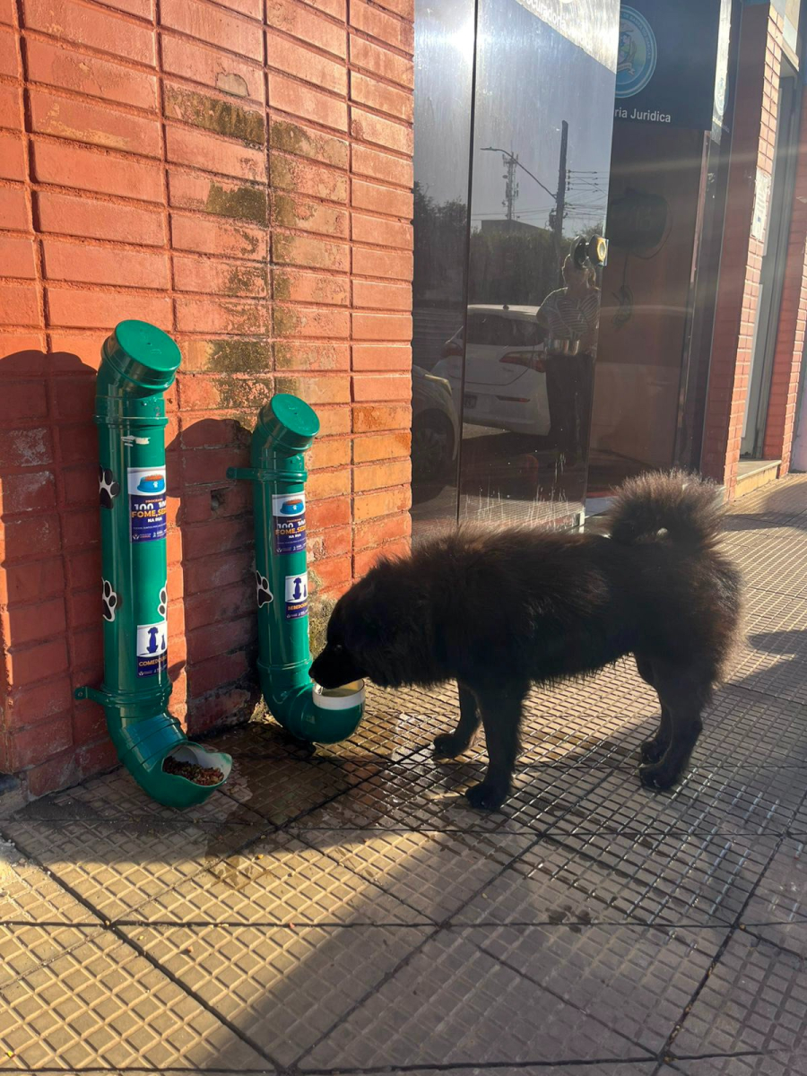 Prefeitura instala comedouros e bebedouros para incentivar cuidado com animais de rua em Barra do Garças