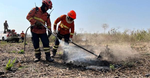 MT registra redução de 71% nas áreas afetadas pelo fogo; Pantanal é área mais preservada