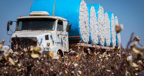 Mato Grosso lidera a balança comercial brasileira em 2025