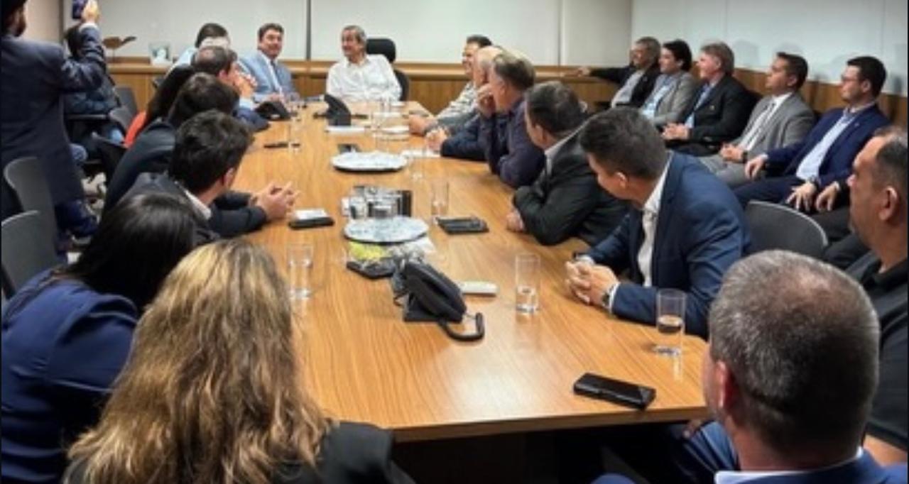 PL chega dividido à fase estratégica da pré-campanha