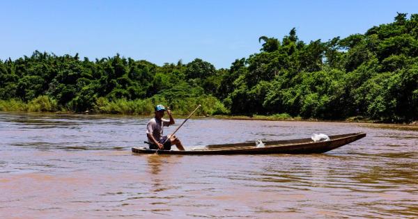 Sema emitiu 9.884 carteiras de pesca amadora