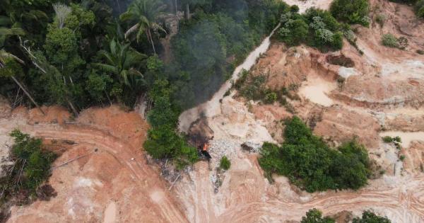 Batalhão Ambiental da PM desmantela garimpo irregular