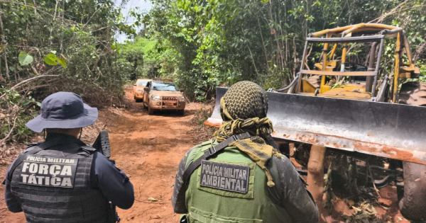 Batalhão Ambiental aplica multa em mais de R$ 1 milhão por exploração irregular de madeira