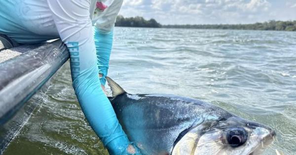 Empresários relatam mais turistas e alta no faturamento após dois anos do Transporte Zero