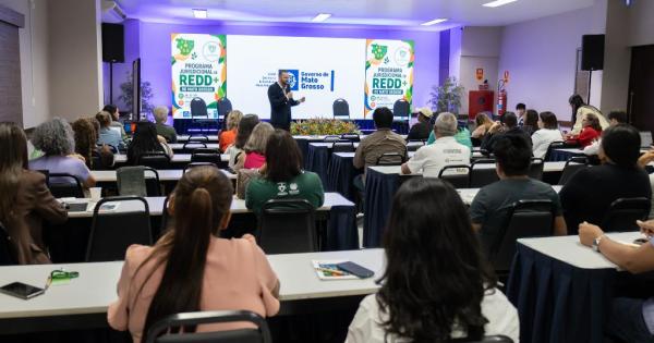 Sema executa planejamento para comercialização de reduções de emissões de carbono