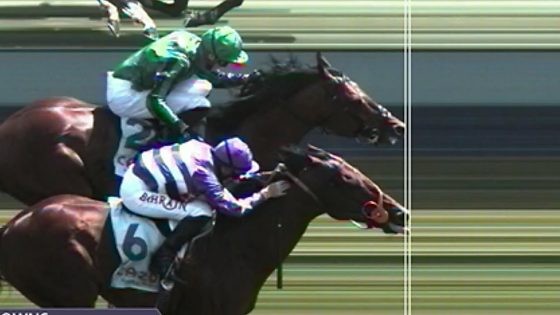 Cavalo vence corrida “mostrando a língua”