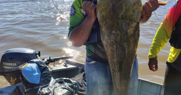 Jaú de 1,30 metro garante prêmio especial no Festival Internacional de Pesca Esportiva de Cáceres