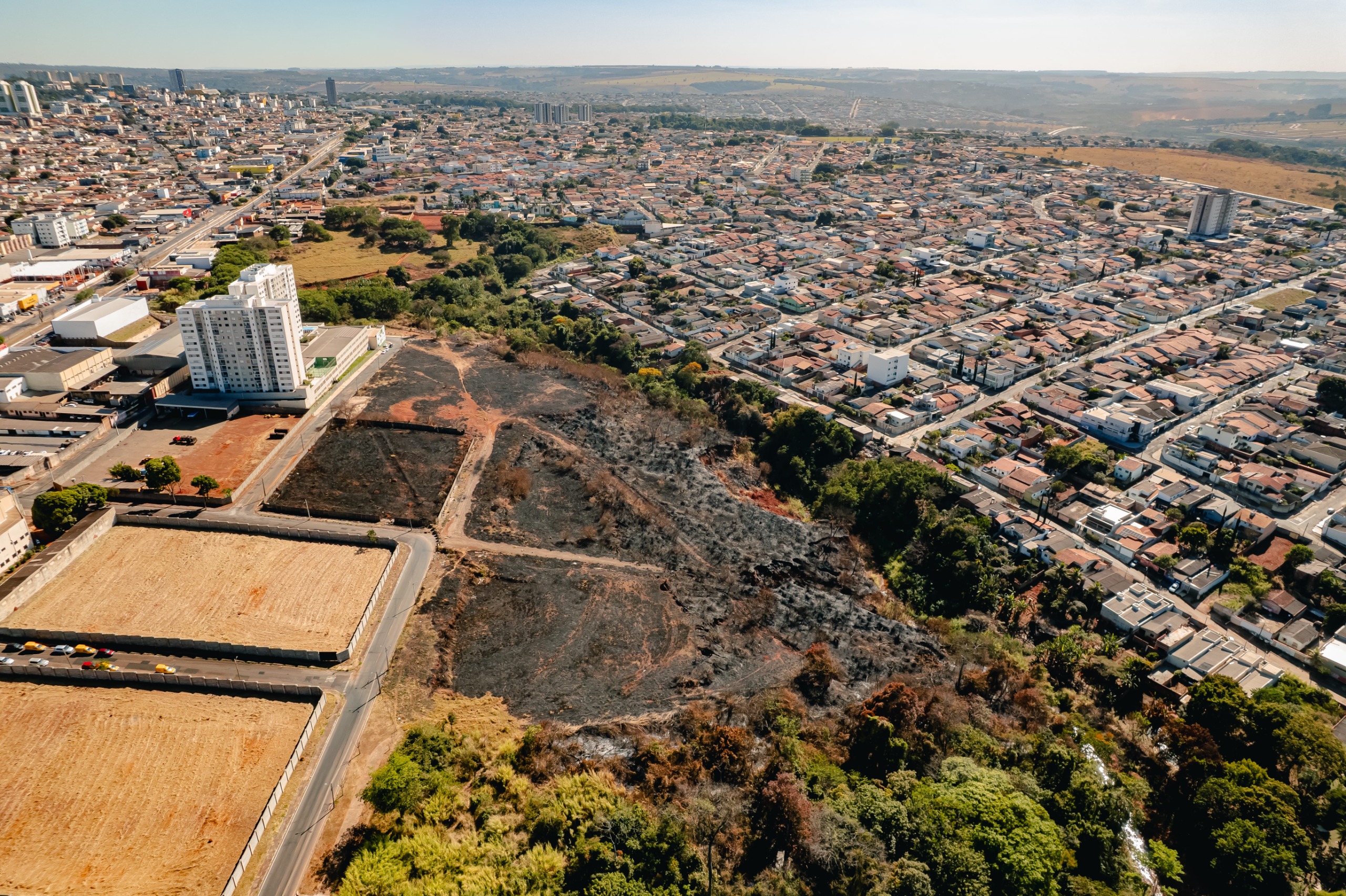 Queimadas causam prejuízos ao meio ambiente e podem gerar multas de até R$ 50 milhões