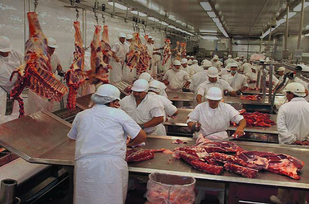 'O impacto será menor do que o estimado', avalia Acrimat sobre 'boicote' da UE